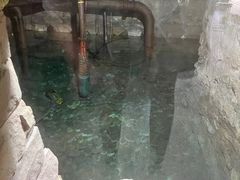 -向外鱼乐·土菜·虹鳟鱼