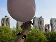 -长白岛森林公园