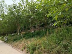 -坝河休闲公园