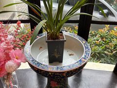 -老洋房花园饭店(绍兴路店)