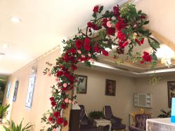 -伽美医疗美容医院·高端抗衰中心