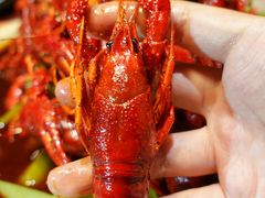 -沪小胖小龙虾(淮海中路旗舰店)