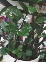 -百秀美发精致烫染