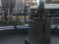 -涩谷区