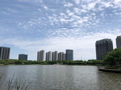 -南翔镇银翔湖公园