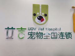 -艾吉宠物医院·疑难杂症转诊中心·猫友好(碧江路院)