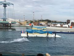 -秦皇岛乐岛海洋王国