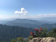 -王顺山国家森林公园