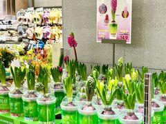 -鹿岛生活(熙地港店)