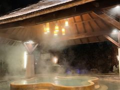 -天目湖涵田半山温泉