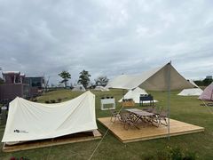 -春花秋色城市公园