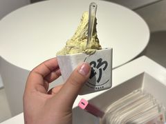 -野人先生现做冰淇淋(北京王府井东方新天地店)