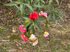 -艾溪湖湿地公园