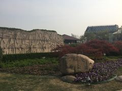 -嘉定紫藤园