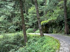 -苍山感通索道