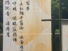-杭州植物园