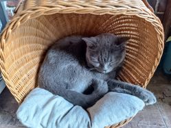 -青木造型HAIR·あおき髪を刈る潮人店