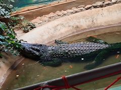 -西霞口神雕山野生动物世界