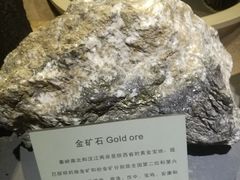 -陕西自然博物馆