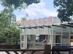 -南山植物园