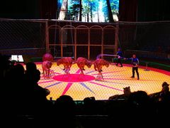 -西安秦岭野生动物园