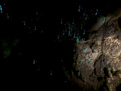 -怀托摩萤火虫洞