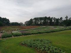 -保利石象湖景区