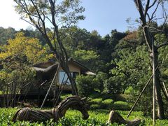 -杭州开元森泊度假乐园