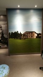 -奈瑞儿美颜塑身SPA