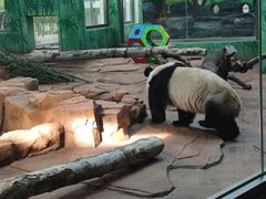 -秦皇岛野生动物园