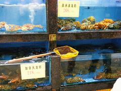 水产区-鹅公村·国家非遗传承(荔湾店)