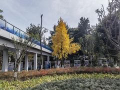 -成飞公园