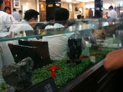 -福禄财东北菜(珠江帝景店)