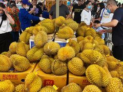 -盒马X会员店(上海森兰商都店)