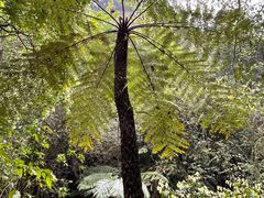 -赤水丹霞旅游区·佛光岩