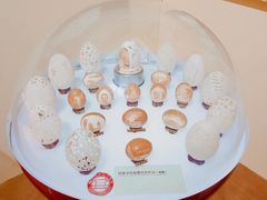 景点-北京展览馆