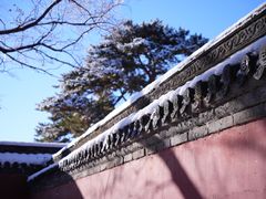 -北陵公园