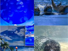 -福州罗源湾海洋世界旅游区