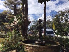 -黄色小屋
