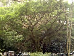 -广州市石门国家森林公园