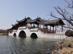 -上海海湾国家森林公园