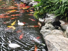 -顺德渔村·岭南一号