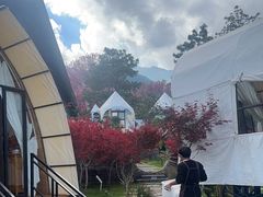 -云禾壹海景庄园餐厅