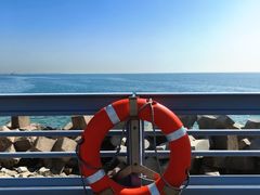 -庆山饭店·海鲜饺子家常菜(北戴河黑石路店)