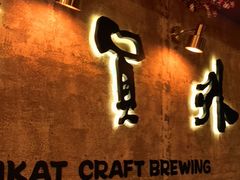 -猫员外精酿啤酒馆(壹海城店)