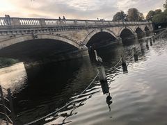 -海德公园