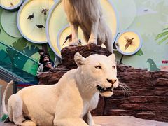 -陕西自然博物馆