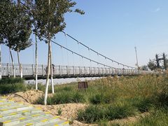 -西青郊野公园