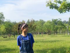 -东郊湿地公园