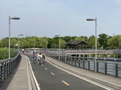 -阳澄湖半岛旅游度假区